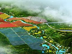鄭州市工信局：積極構(gòu)建管城區(qū)、經(jīng)開(kāi)區(qū)、中牟縣“兩區(qū)一縣”氫燃料電池汽車