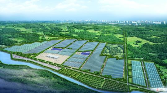 招強引優、延鏈集群，泰安高新區打造新型工業化強市建設“高新樣板”