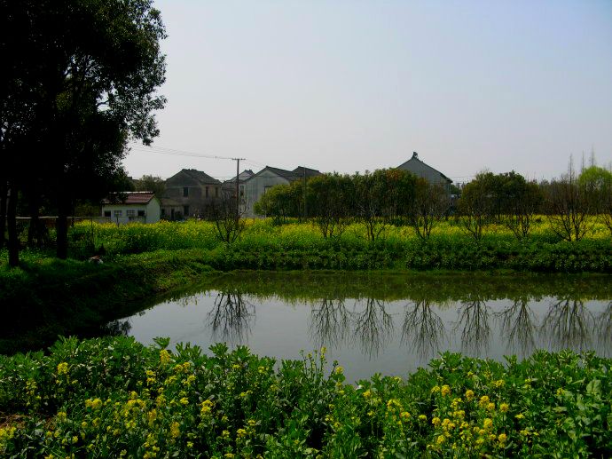 上海鄉(xiāng)村振興，建設(shè)美麗綠色幸福“三園”