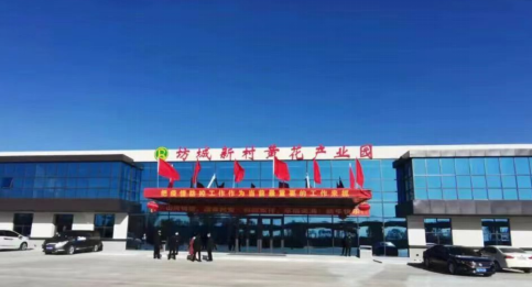 大同黃花，忘憂云州——云州區積極申創國家農業現代化示范區