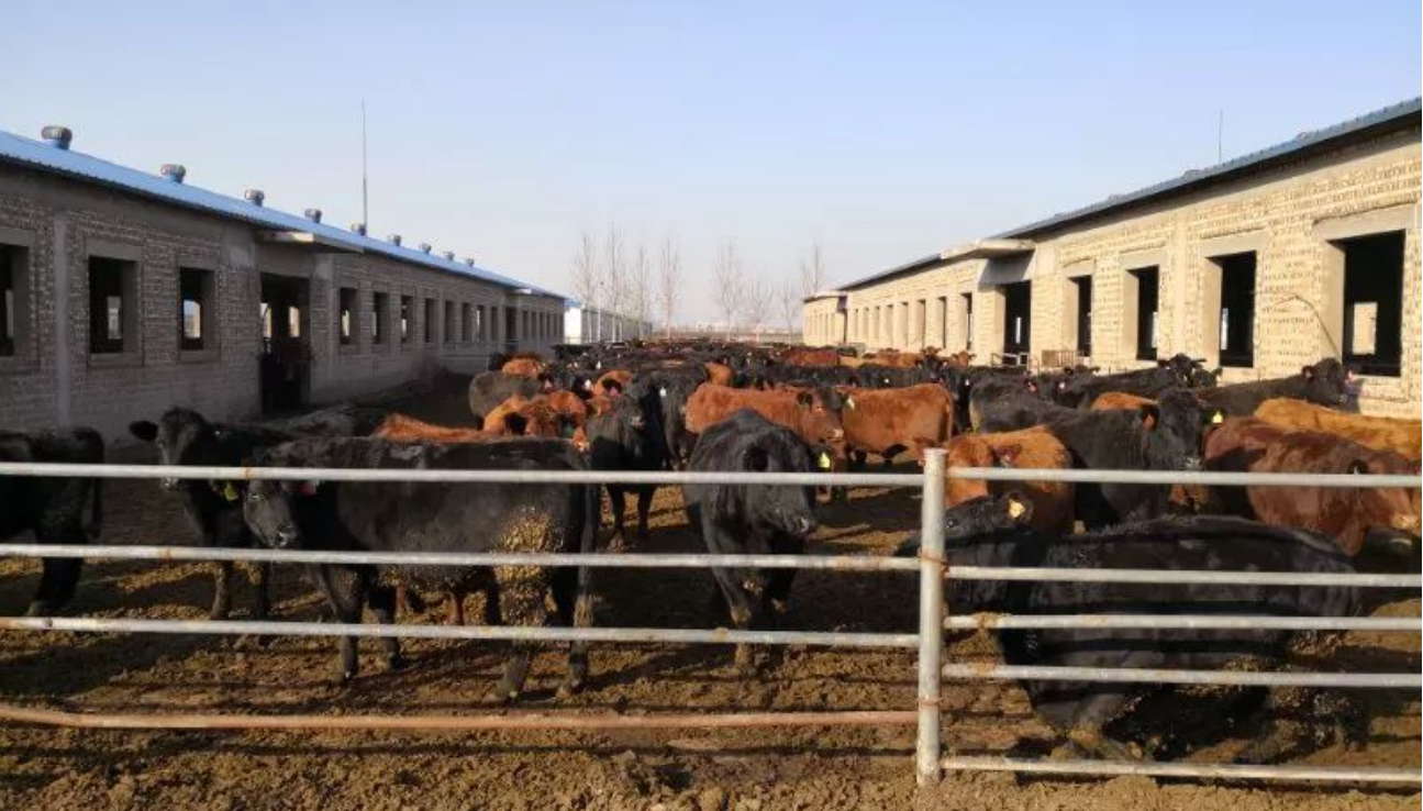 高新院賦能祁縣：雙輪驅(qū)動鑄就現(xiàn)代農(nóng)業(yè)產(chǎn)業(yè)園標桿